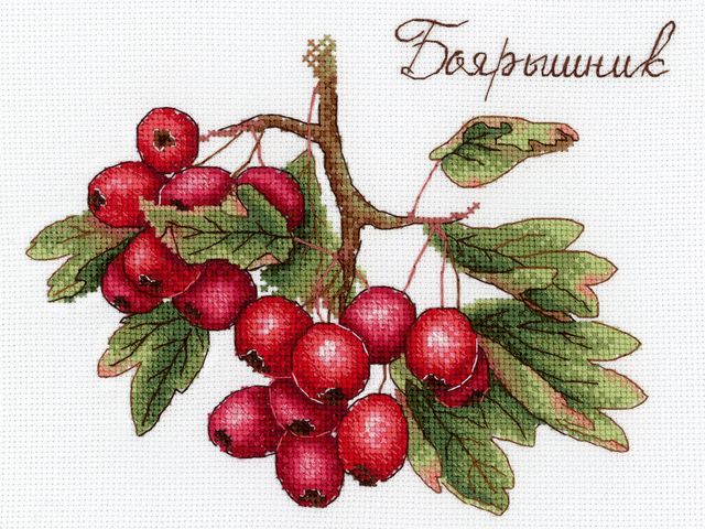 Набор для вышивания НВ-651 «Дары природы. Боярышник» магазин Маленькая-иголка
